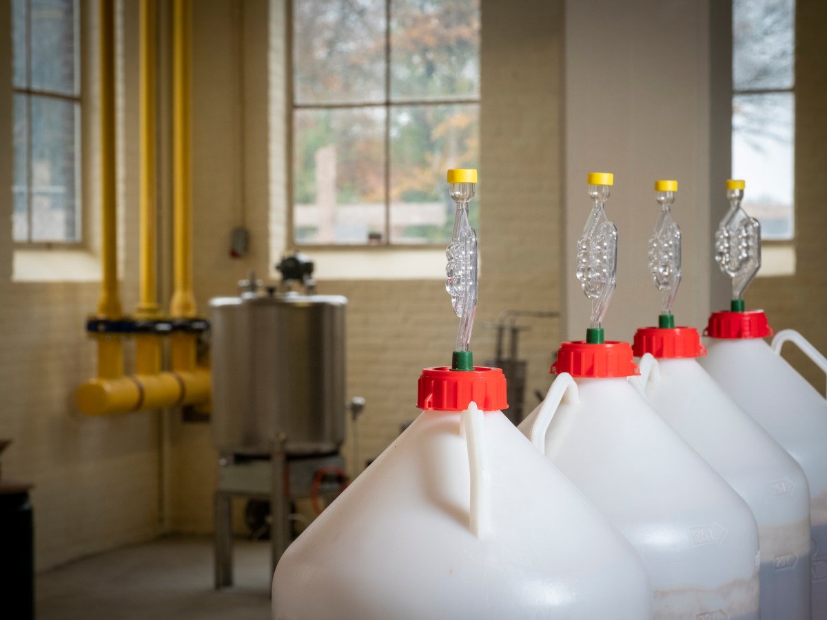 9 juli | De Zomer Big Brew